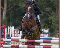 6 BARRES